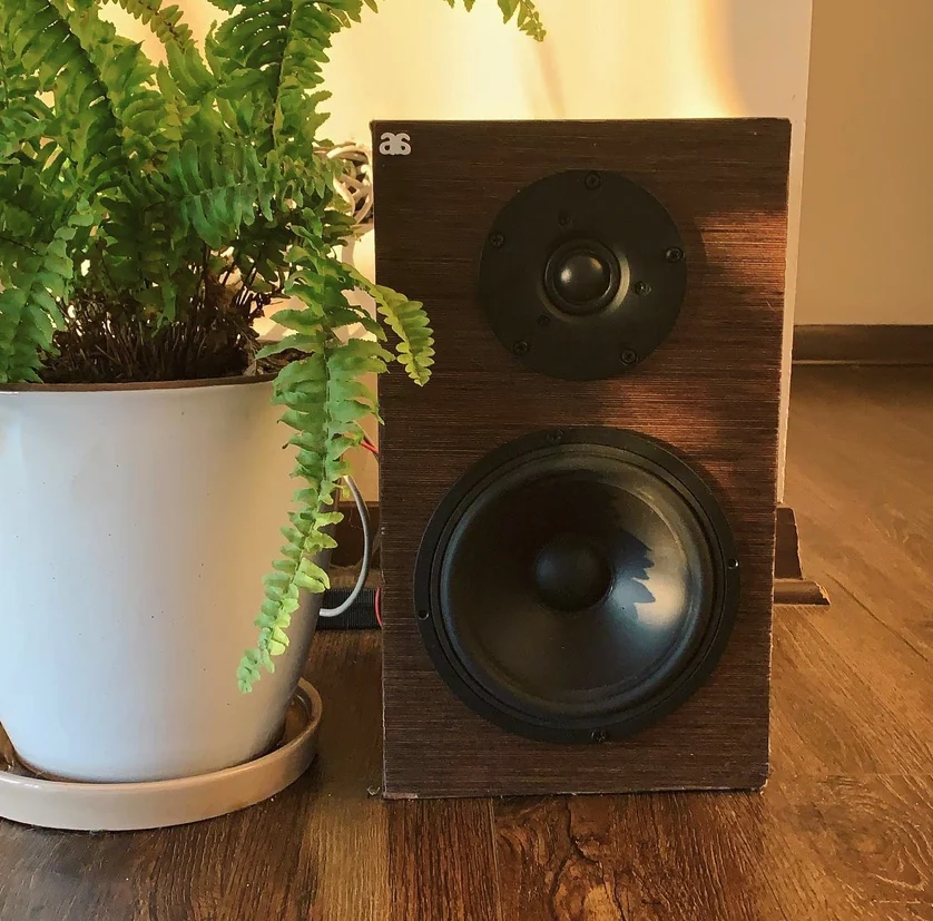 Walnut loudspeaker close-up